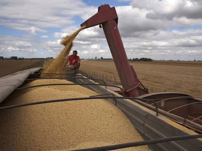 Un agricultor controla la carga de soja en un contenedor en Rosario, Argentina.