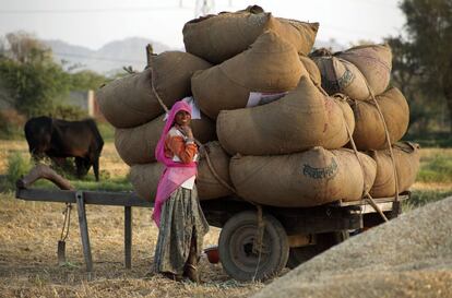 Una agricultora india junto a su carro cargado con la cosecha recogida en Ajmer, India.
