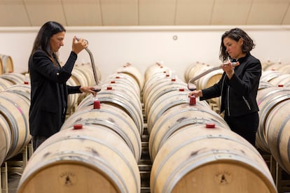 Bodega Artesa