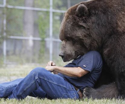 Jim Kowalczik juega con Jimbo, un oso Kodiak de casi 700 kg, en el Centro de Vida Silvestre de Otisville, Nueva York (EE.UU) el 7 de septiembre de 2016.