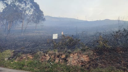 Aspecto del incendio en el monte Naranco de Oviedo, el viernes.