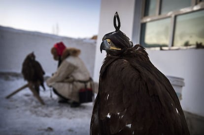 Yermazhan Beysenbay, uno de los cazadores kazajos, coloca un águila en una percha a las afueras de la casa familiar antes de que empiece la competición.