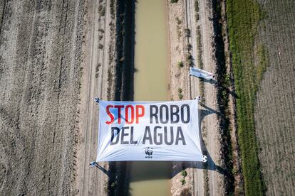 Acción de WWF España en Doñana en el día de los Humedales el pasado 2 de febrero.