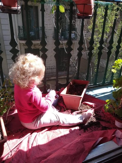 Proponemos comenzar con los peques a germinar semillas y verlas crecer hasta que se conviertan en plantitas