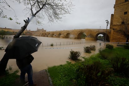 Una persona bajo un paraguas observa la crecida del río Guadalquivir, el domingo en Córdoba. 