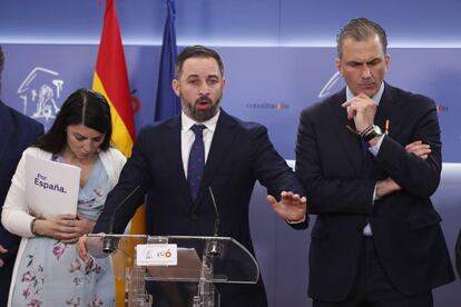 Macarena Olona, Santiago Abascal y Javier Ortega Smith, en el Congreso de los Diputados.