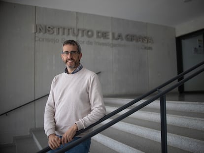 Javier Sánchez, investigador en el Instituto de la Grasa CSIC, en Sevilla.