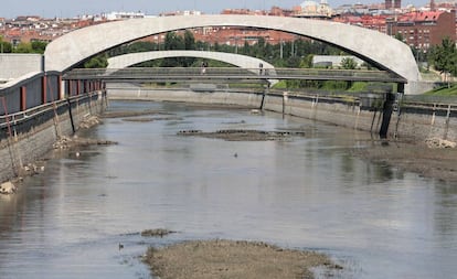 Aparición de las islas en el tramo del Río Manzanres que se ha desembalsado entre las presas 8 y 9.