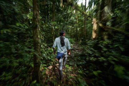 Nantu penetra en la selva ecuatoriana, dentro del territorio achuar.