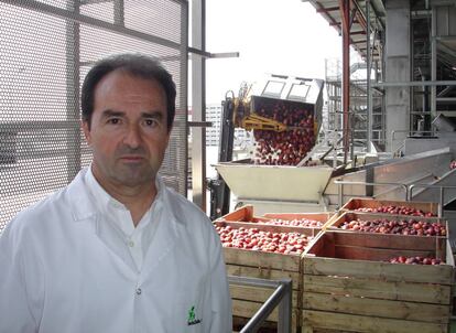 Marià Sorribas, director general de Indulleida