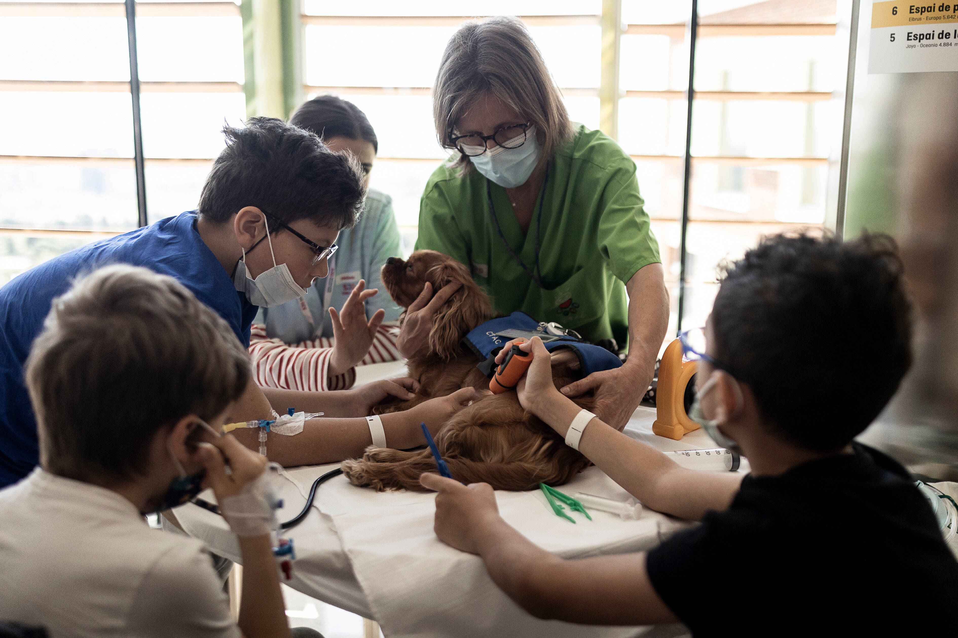 Taller de veterinaria para niños en el Sant Joan de Déu.