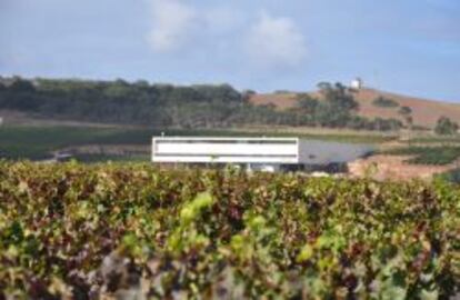 Instalaciones de la joven bodega AdegaMae.