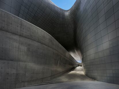 Taxonomía Hadid