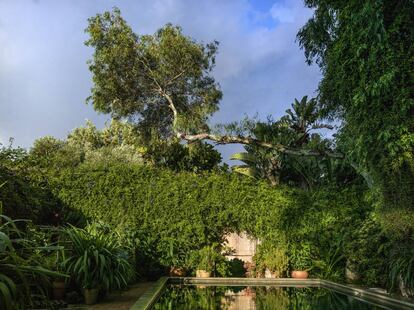 La piscina de la casa, entre la vegetación.