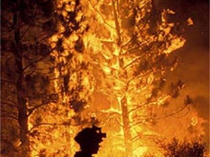 Un bombero trabaja en las labores de estinción del incendio que amenaza a los secuoyas de California.