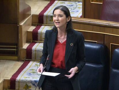 La ministra de Industria, Comercio y Turismo, Reyes Maroto, en el Congreso.