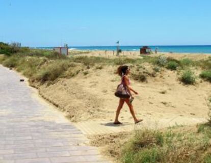 Dunas y vegetación xerófila en las platas de Gavà (Barcelona).