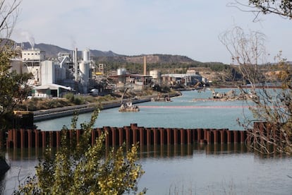 Labores de limpieza en el embalse de Flix (Tarragona), en 2019.