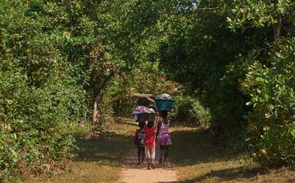 Rodeados de árboles de cajú, dos niños y una niña caminan hacia el centro de Bubaque cargando cubos en sus cabezas. La castanha de caju (anacardo) representa cerca del 90 % de las exportaciones de este país de África Occidental.