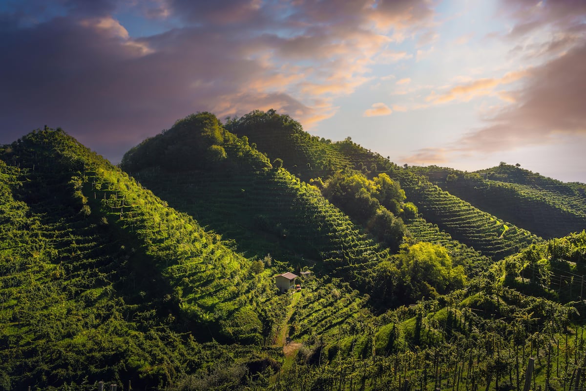 Más allá de la Venecia turística: una ruta por la región del Prosecco