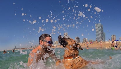 La playa de Llevant, de Barcelona, con una zona acotada para perros. 