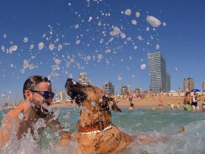 La platja de Llevant, de Barcelona, amb una zona per a gossos.