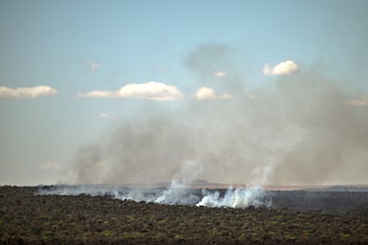 Un incendio en la vegetación del Cerrado crea una cortina de humo en la zona rural de Formosa, estado de Goiás (Brasil), el 11 de septiembre.