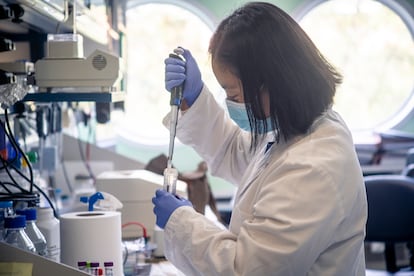 Investigación sobre vacunas en un laboratorio español.