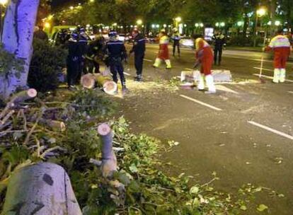 Operarios de limpieza retiran los restos del árbol caído en el paseo de la Castellana.