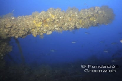 Fotografías del casco del submarino localizado a 85 metros de profundidad de las aguas de Calp por los buceadores de la Fundación Greenwich, ubicada en El Campello.