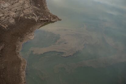 Cuando se tomó esta imagen, el 15 de enero de 2024, el embalse de Sau, en la cuenca del río Ter a su paso por la comarca de Osona (Barcelona), se encontraba a apenas un 1,42% de su capacidad.