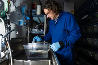 James Monaghan, director del Instituto de Imágenes Químicas de Sistemas Vivos, en su laboratorio.