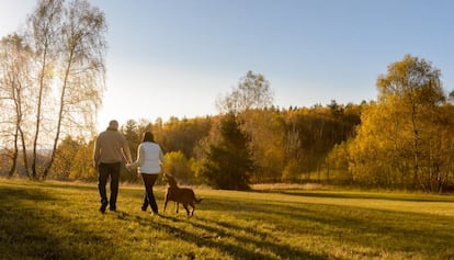 Una pareja pasea con su perro por el campo. 