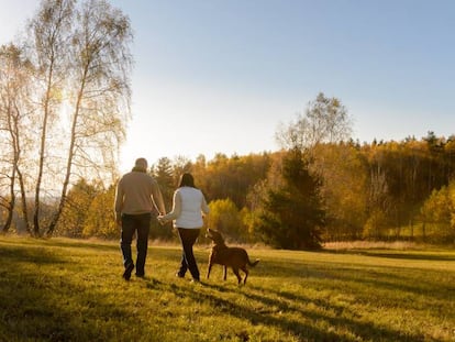 Una pareja pasea con su perro por el campo.