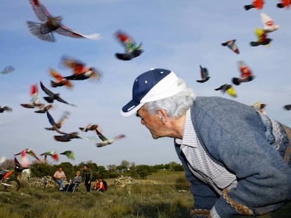 Fotografía de la serie 'Paloma al aire'.