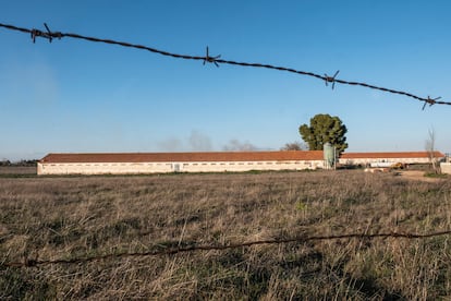 Vista del recinto donde se encuentra la granja avícola, a las afueras de Daimiel.