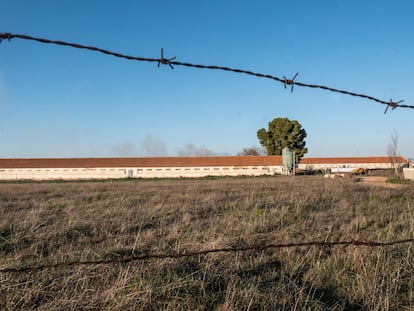 Vista del recinto donde se encuentra la granja avícola, a las afueras de Daimiel.