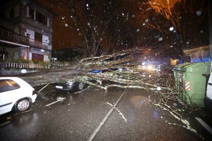 Un árbol caído sobre una calzada en Vigo. Los servicios de emergencias del 112 han atendido la pasada madrugada un total de 347 incidencias, la mayoría de ellas relacionadas con el temporal de viento y lluvia que afecta a Galicia estas Navidades, y que ha anegado vías, volcado contenedores, tirado árboles o provocado apagones en varias zonas.