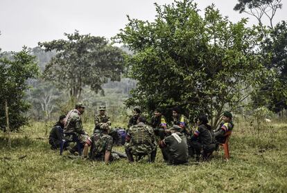 TO GO WITH AFP STORY by Hector Velasco
Members of the Revolutionary Armed Forces of Colombia (FARC), listen during a "class" on the peace process between the Colombian government and their force, at a camp in the Colombian mountains on February 18, 2016. They still wear green combat fatigues and carry rifles and machetes, but now FARC rebel troops are sitting down in the jungle to receive "classes" on how life will be when they lay down their arms, if their leaders sign a peace deal in March as hoped.  AFP PHOTO / LUIS ACOSTA