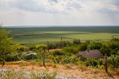 Toda la masa verde de árboles que se ve a partir del trazado ferroviario hasta donde alcanza la vista antes era agua y ahora es un bosque que ha brotado durante el último año, después de que el embalse de Kajovka se vaciara a causa de la explosión de la presa de Zaporiyia. En Malokaterynivka (Ucrania), el 29 de julio de 2024.