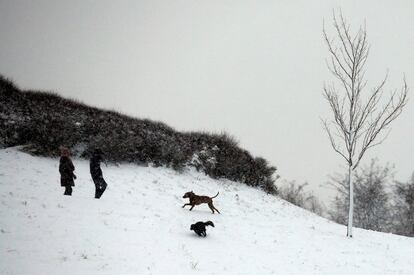 Una pareja pasea con sus perros por una zona nevada de Dormund (Alemania).