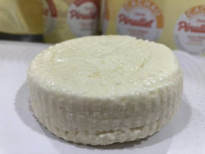 La ricotta recién prensada