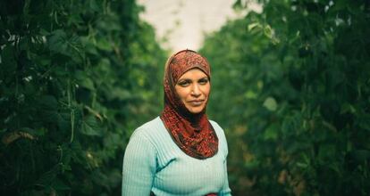 Una trabajadora de un invernadero en Al Jiftlik, una localidad en el Valle del Jordán.
