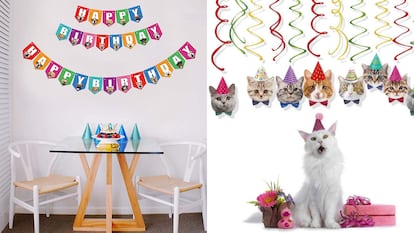 festejo mascotas amazon