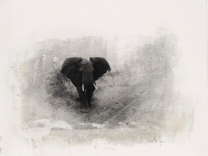'El elefante africano'