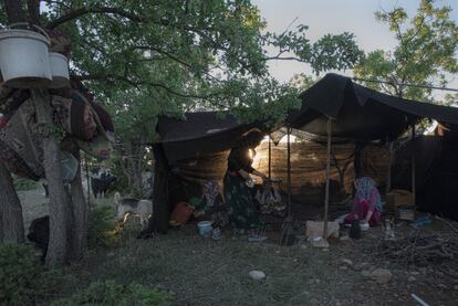 La familia vive en una tienda fabricada con pieles de cabra. Durante la migración, montan y desmontan su tienda cada día y pasan las veladas junto a una hoguera mientras su rebaño de cabras pasta cerca.