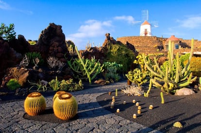 El Jardín de Cactus, en Guatiza, diseñado por César Manrique.