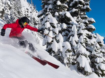 Un esquiador baja por una de las pistas de la estación canadiense de Whistler, una de las más grandes y animadas de Norteamérica