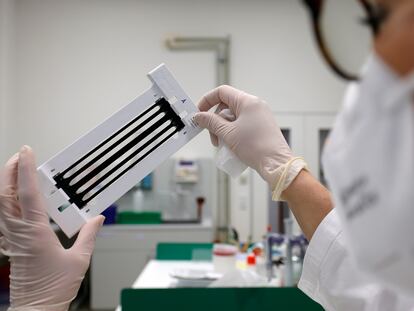 Un investigador sostiene una prueba para la secuencia del genoma del coronavirus en un laboratorio de Ingelheim (Alemania).