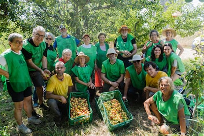 Algunos de los voluntarios de Espigoladors tras el rebusco de peras en El Papiol (Barcelona).